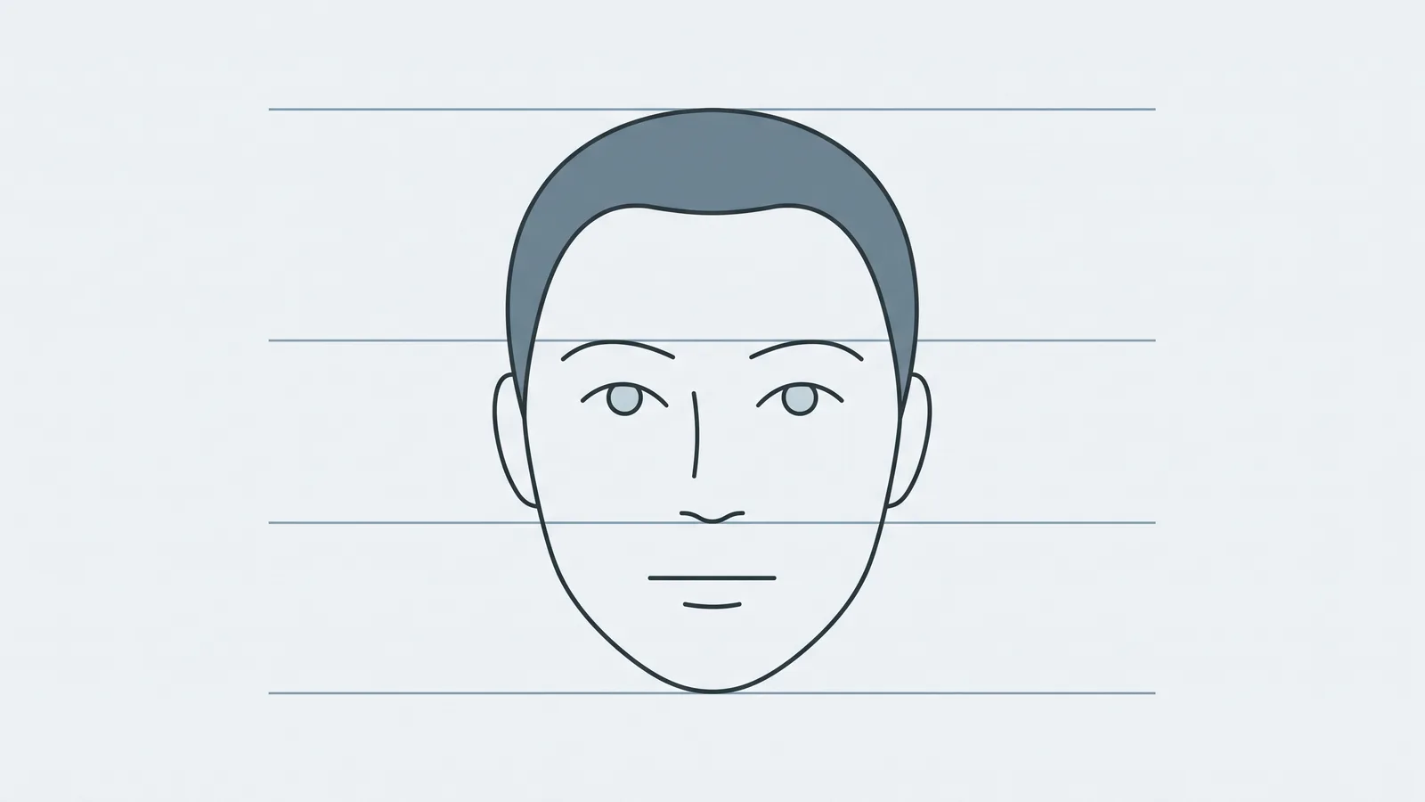 Line diagram of a front-facing face with horizontal guide lines marking the facial thirds