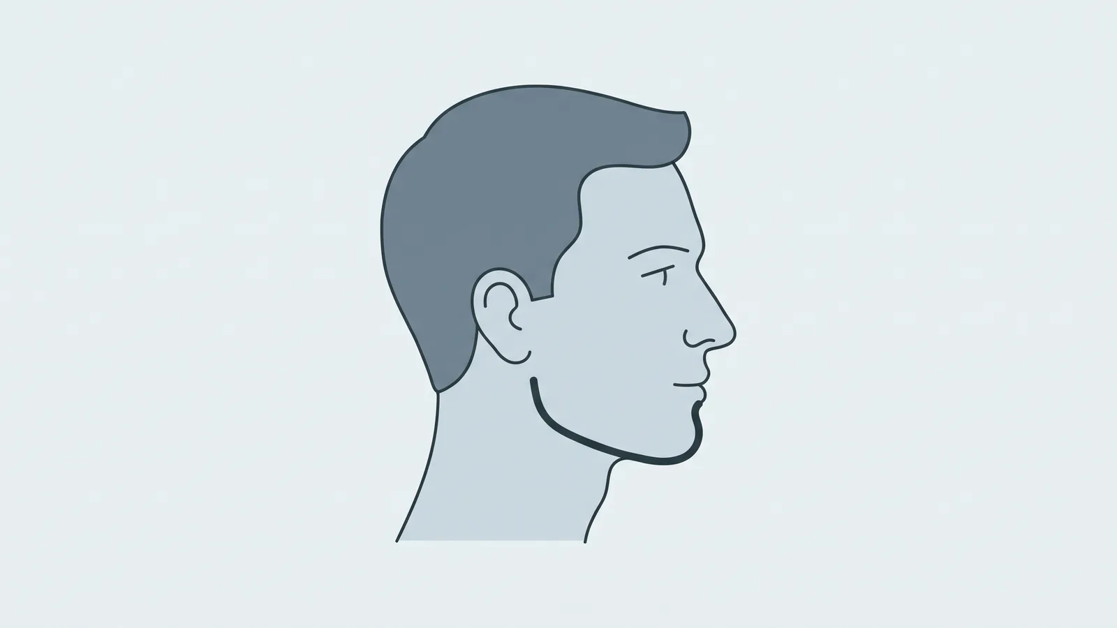 Side-profile line illustration of a man's head with the jawline emphasised, representing the jaw changes mewing is claimed to produce
